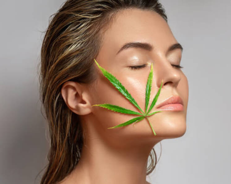 Your Independent Guide to CBD Oil in Ireland