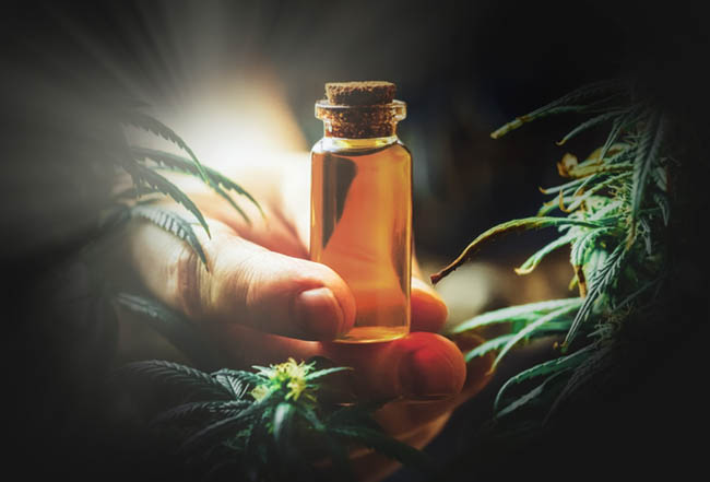 CBD Oil Starting Dose for First-Time Users