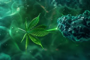 CBD and Cancer